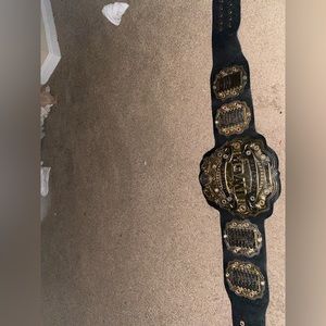 Iwgp world championship belt